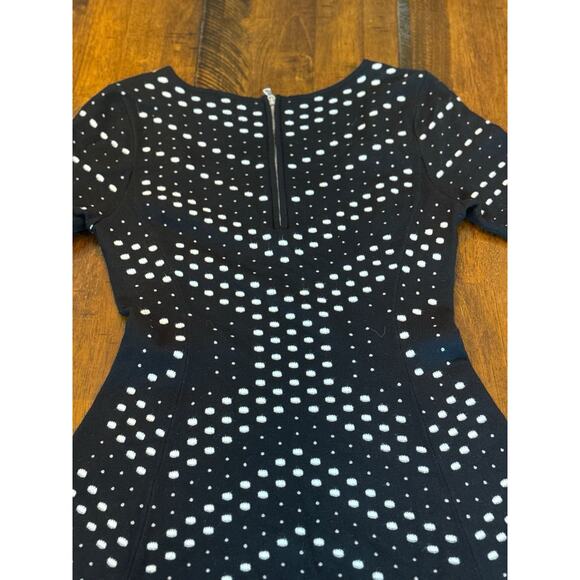 Milly Pointelle Knit Sweater Dress M Black White Fit & Flare Scoop Neck $395 - Picture 12 of 14